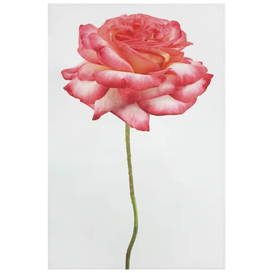 Empire Art Direct 32" x 48" Pink Rose Free Floating Tempered Glass Wall Art